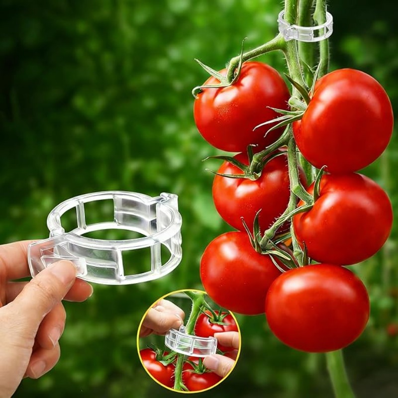 300/50 Buah Klip Penyangga Tan - Gardening Tools For Vines ulasan dan harga